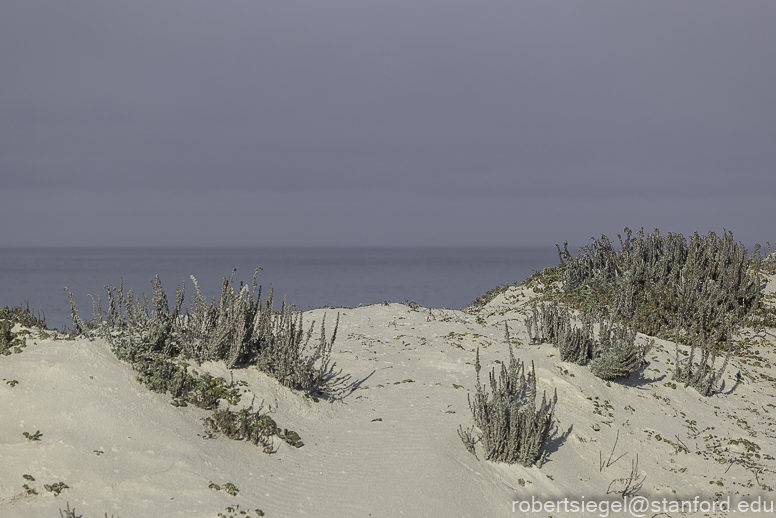 asilomar